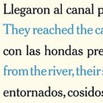 A Literary Translator Leads Us Through Her Process, Line By Line