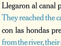 A Literary Translator Leads Us Through Her Process, Line By Line