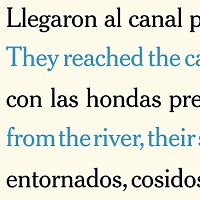 A Literary Translator Leads Us Through Her Process, Line By Line