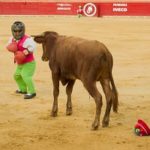 Another Culture War Over Spain’s Bullfights — And This One’s Not About The Bulls
