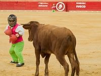 Another Culture War Over Spain’s Bullfights — And This One’s Not About The Bulls
