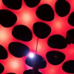 Let’s Talk About The Sonic Sphere At The Shed