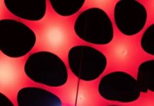 Let’s Talk About The Sonic Sphere At The Shed