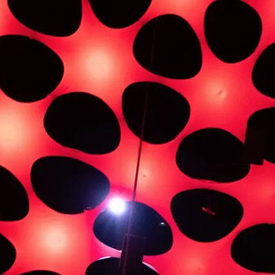 Let’s Talk About The Sonic Sphere At The Shed