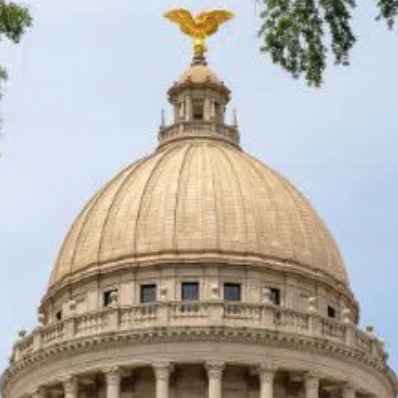 Libraries Across The Country Made Digital Books Accessible To All Students, So Mississippi Banned Access