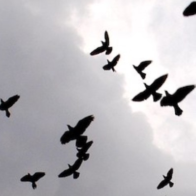 Trying To Teach A Post-2001 Generation About The Trauma Of The Towers