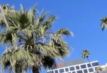 The Historic – And Wide-Ranging – Disruptions Of The Hollywood Strikes