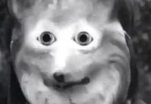 How Director Agnes Varda Turned Her Photographs Into Films