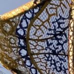 Indigenous Artists In Australia Unite In Defense Of The Ocean