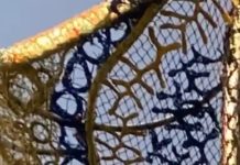 Indigenous Artists In Australia Unite In Defense Of The Ocean