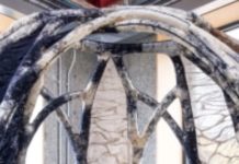 New Building Material: Fungus?