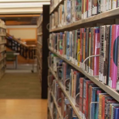 A Federal Judge Blocks Arkansas From Going After Librarians For ‘Harmful’ Books