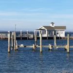 A Novel’s Draft Leaks, And A Small Town Freaks Out