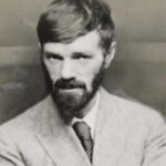 Inflamed. Impertinent. Insightful: How D.H. Lawrence Read Literature