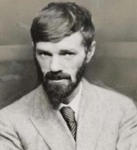 Inflamed. Impertinent. Insightful: How D.H. Lawrence Read Literature