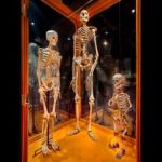 An Existential Ethics Review At America’s Leading Medical Museum