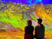 The Company Behind The Immersive Van Gogh, Monet, And Kahlo Shows Declares Bankruptcy