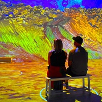 The Company Behind The Immersive Van Gogh, Monet, And Kahlo Shows Declares Bankruptcy