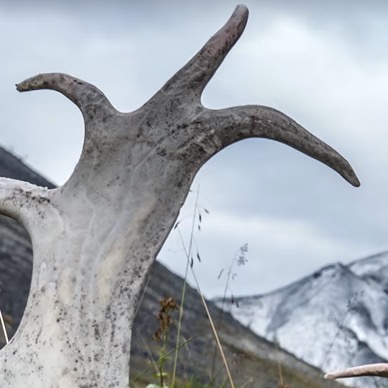 Microfossils Like Shark Teeth Are Changing Our Climate Change Planning