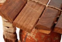 The Musicians In Love With Obscure Instruments