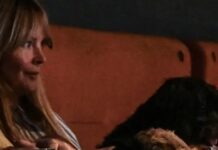 It’s Take Your Dog To The Cinema Day In Britain