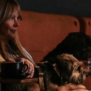 It’s Take Your Dog To The Cinema Day In Britain