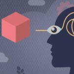 When Evidence-Based Reasoning Can Lead Us Astray