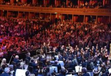 Why Has The Symphony Orchestra Endured In Such A Compelling Way?