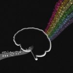 Neuroscientists Reconstruct Pink Floyd Song From Brain Scan Of Listener