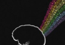 Neuroscientists Reconstruct Pink Floyd Song From Brain Scan Of Listener