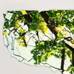 The Meaning Of America (As In – Why Have We Been Getting So Much Meaner?)