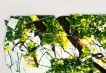 The Meaning Of America (As In – Why Have We Been Getting So Much Meaner?)