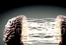 Study On Creativity: A Creative Dance Between Our Brain Networks