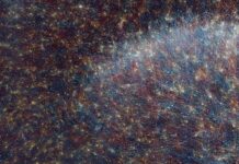 500 Scientists Spent €600 Million Over 10 Years On The Human Brain Project. How’d It Go?