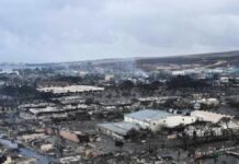 The Culture And Museums Lost In The Maui Fire