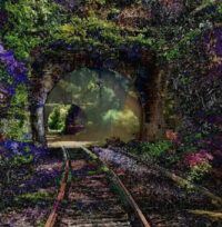Every Photo We Take Is Aided By AI. So How Much Before Its More AI Than Us?