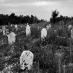 What Ancient Greek Tragedies Can Still Teach Us About Grief: Teju Cole On Seeing Aeschylus At Epidaurus