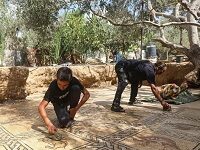 Gaza Is Chock-Full Of Antiquities. Keeping Them Safe Is An Enormous Challenge.