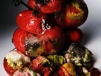 Rotten Tomatoes Has Never Been More Important — Or More Compromised