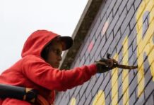 Mural Artists In Australia Are Losing Insurance For Working On Walls