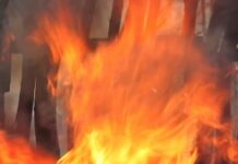 Amazon And Goodreads Are Just Flat-Out Letting AI Tank Authors’ Reputations