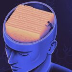 Research: Our Brains May Sort Memories By Practical Necessity