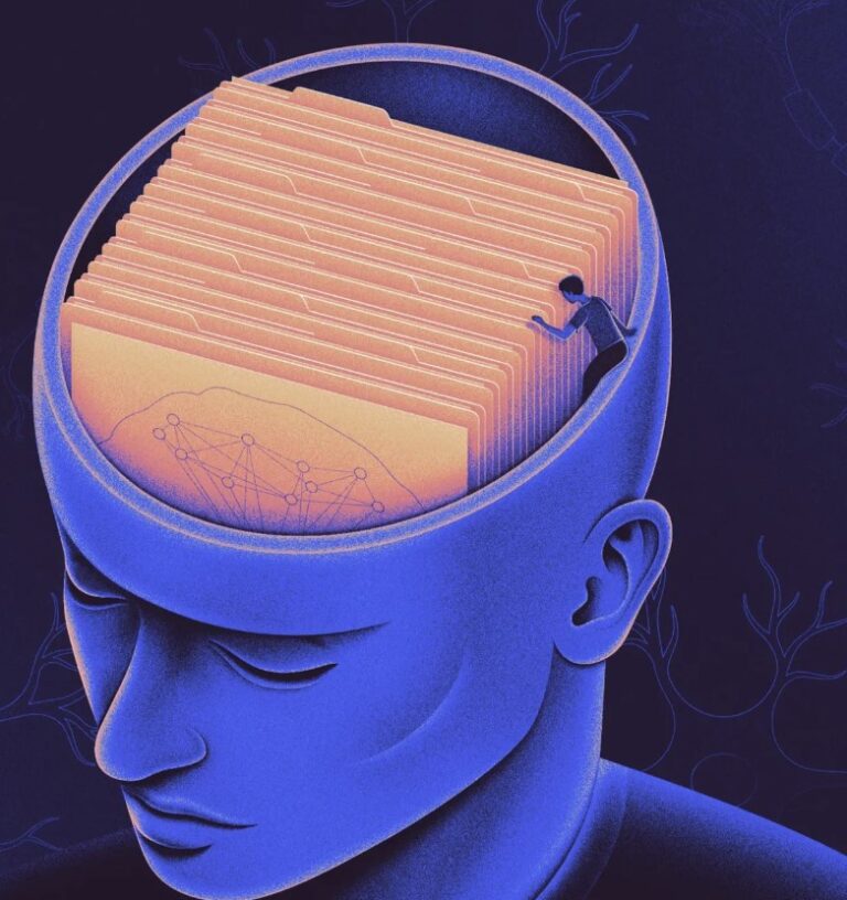 Research: Our Brains May Sort Memories By Practical Necessity