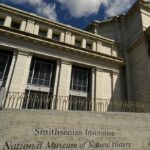 The Smithsonian’s Natural History Museum Has A Human Remains Problem