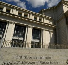 The Smithsonian’s Natural History Museum Has A Human Remains Problem