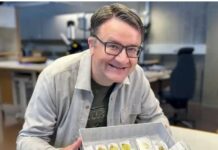 Norwegian Man Out For A Walk Finds Ancient Trove Of Gold