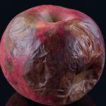 The Sad Real Reason Apple Bought Tiny BIS, The Classical Label