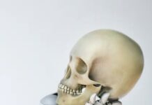 A Long Tradition Of Mis-Thinking Intelligence