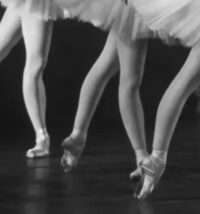 NYCity Ballet Cancels Performances After Orchestra Members Insist On Wearing Contract Shirts