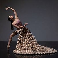 What Alessandra Ferri Has In Mind For The Vienna State Ballet